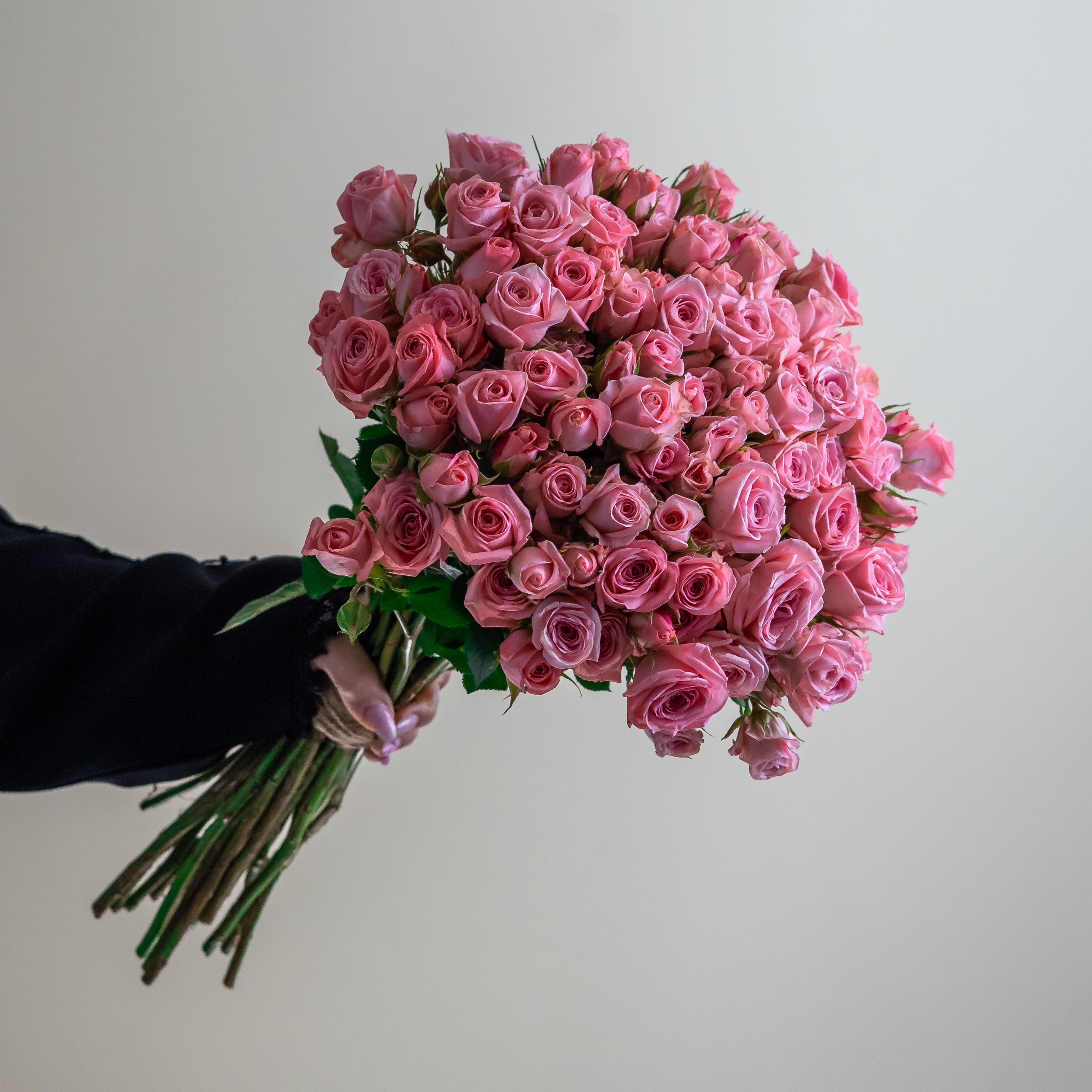 Pink Baby Rose Stems