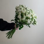 White Baby Rose Stems