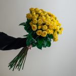 Yellow Baby Rose Stems