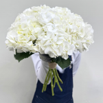 White Hydrangea Stems